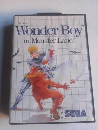 Wonder boy monster land - boy, in